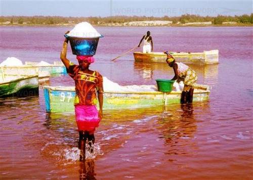 Розовое озеров в Сенегале