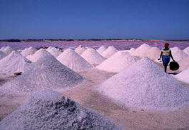 соль, добытая на Розовом озере в Сенегале